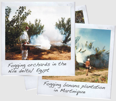 A selection of Polaroids while using thermal fogging machines